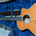 Breedlove J25 Koa Jumbo Acoustic Electric Guitar