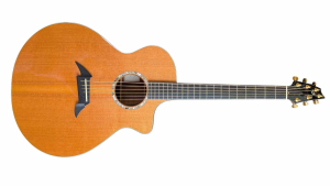 Breedlove J25 Koa Jumbo Acoustic Electric Guitar