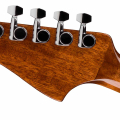 Fender California Standard Redondo CE, black finish, rear headstock