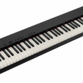 Roland GOPIANO 88PX Portable Piano