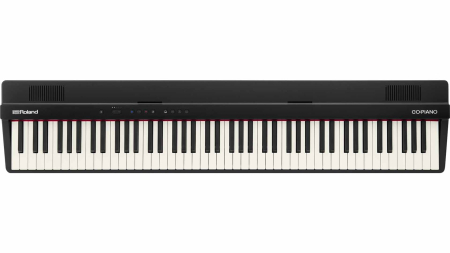 Roland GOPIANO 88PX Portable Piano