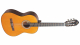 Valencia VC204 classical guitar