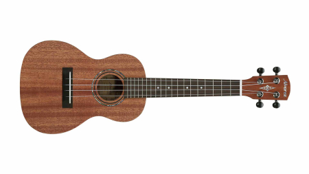 Alvarez RU22C Concert Ukulele