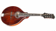 Eastman MD504 A-Style Mandolin