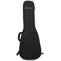 Eastman Fullertone gig bag