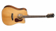 Cort DC-6 Dreadnought Acoustic Guitar
