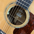 Cort DC-6 Dreadnought Acoustic Guitar