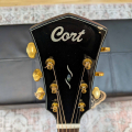 Cort DC-6 Dreadnought Acoustic Guitar