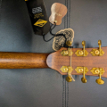 Cort DC-6 Dreadnought Acoustic Guitar