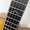 Cort DC-6 Dreadnought Acoustic Guitar
