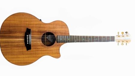 Cole Clark AN2EC-BLBL-AE all Blackwood Acoustic Electric Guitar