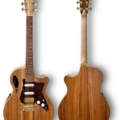 Cole Clark AN2EC-BLBL-AE-HSS True Hybrid acoustic electric guitar