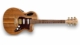 Cole Clark AN2EC-BLBL-AE-HSS True Hybrid acoustic electric guitar