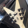 Dean Dimebag Dime-O-Flage ML