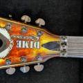 Dean Guitars Dimebag Razorback Explosion