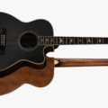 Paul Reed Smith SE A20E Angelus, Acoustic Electric Guitar
