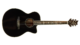 Paul Reed Smith SE A20E Angelus, Acoustic Electric Guitar